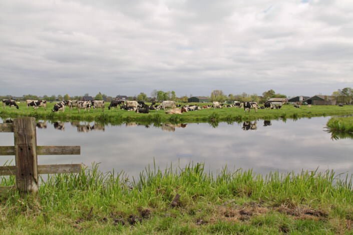 Hoogendijk_IMG_0925