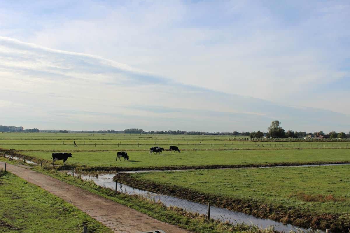 Proeftuinveenweiden-gebied Proeftuin Veenweiden - het gebied